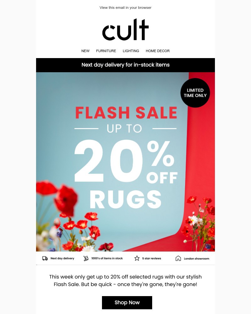 Screenshot of email with subject /media/emails/flash-sale-now-on-enjoy-up-to-20-off-selected-rugs-61ea9a-cropped-a2301608.jpg