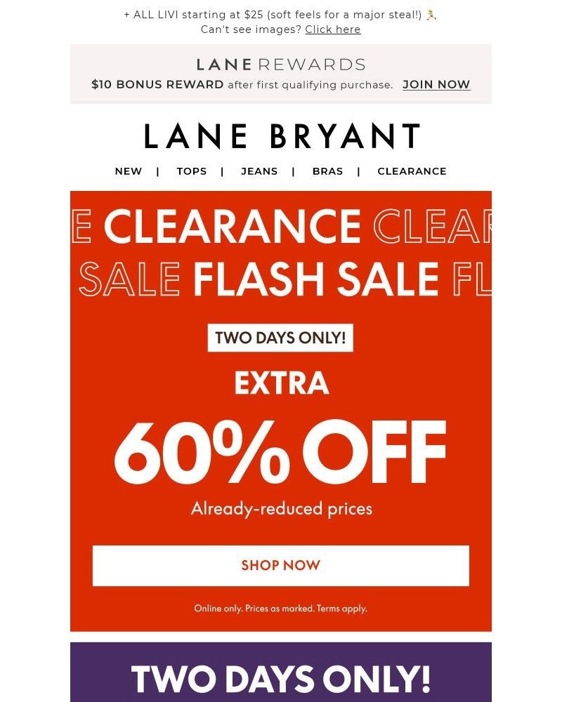 Screenshot of email with subject /media/emails/flash-sale-on-sale-60-off-clearance-3611cc-cropped-5339f102.jpg