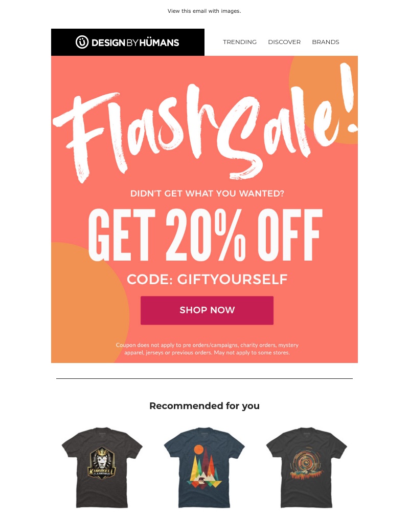 Screenshot of email with subject /media/emails/flash-sale-one-day-only-1-cropped-ae971f62.jpg
