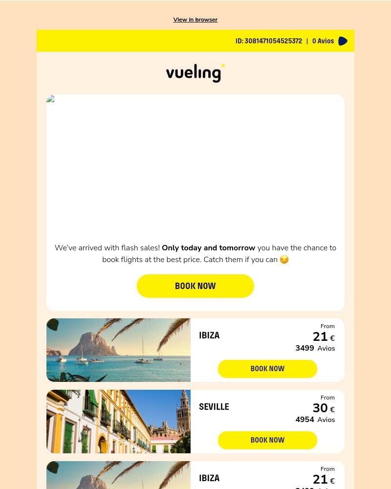 Screenshot of email with subject /media/emails/flash-sale-promo-ready-to-take-off-6eeccd-cropped-dc6552f1.jpg