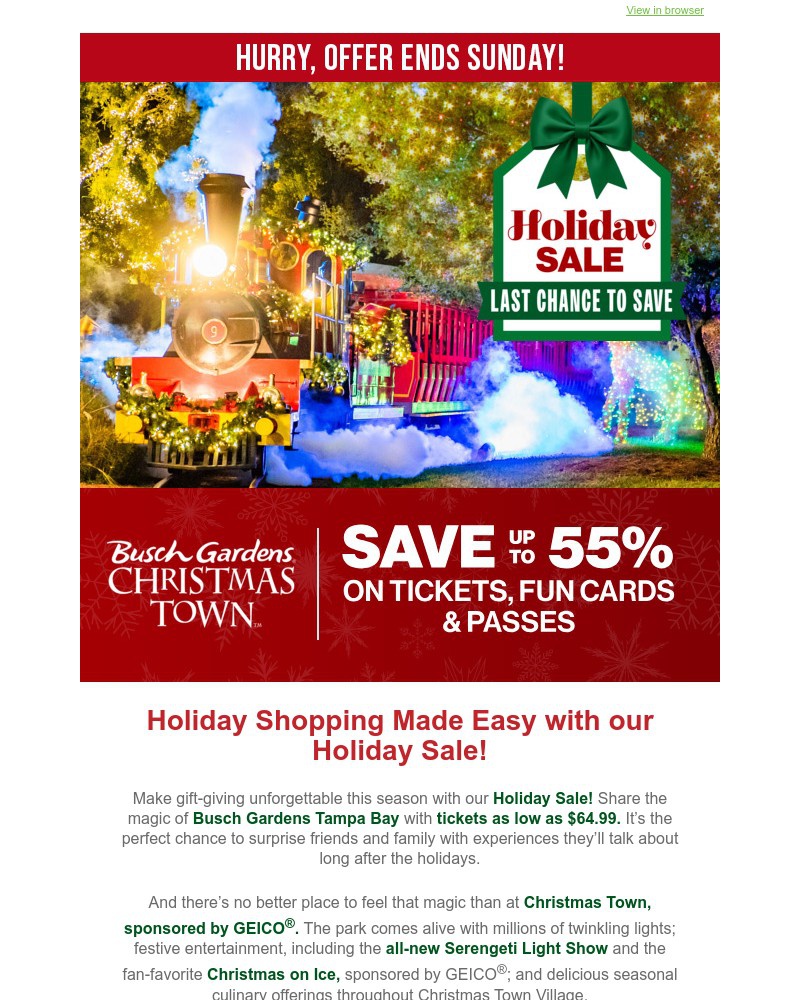 Screenshot of email sent to a Busch Gardens Newsletter subscriber
