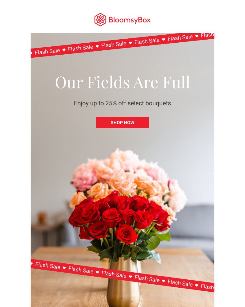 Screenshot of email with subject /media/emails/flash-sale-starts-now-1f2304-cropped-77f10c74.jpg