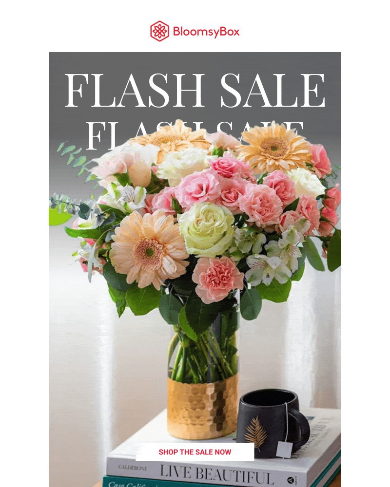 Screenshot of email with subject /media/emails/flash-sale-the-fields-are-full-right-now-05b613-cropped-efc1f29f.jpg