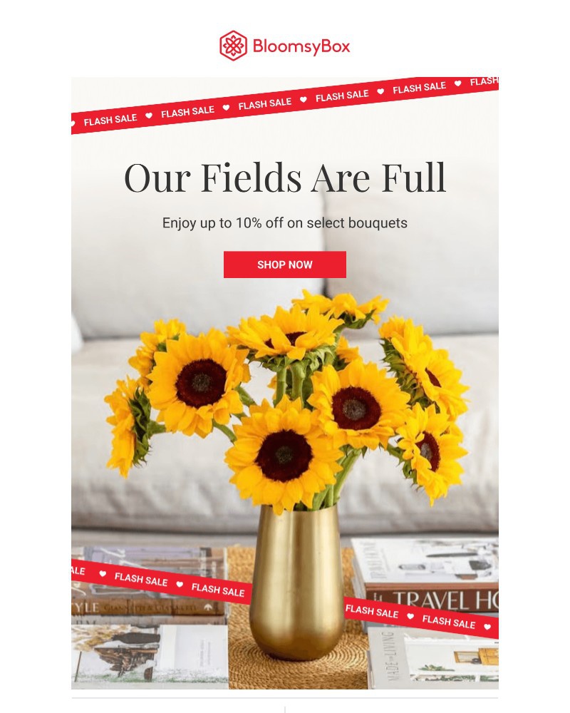 Screenshot of email with subject /media/emails/flash-sale-the-fields-are-full-right-now-320e65-cropped-113e2adc.jpg