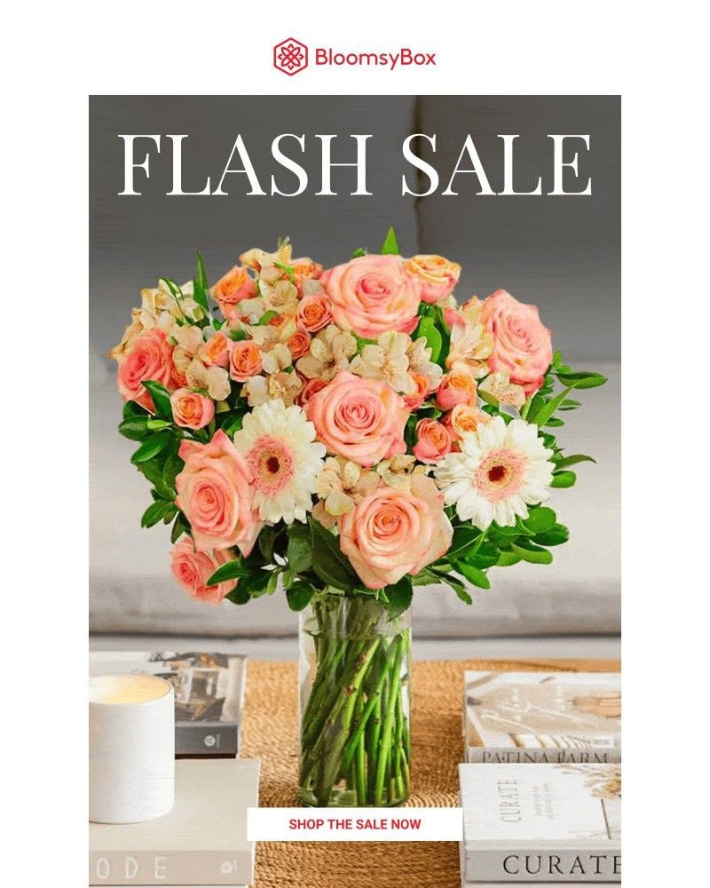 Screenshot of email with subject /media/emails/flash-sale-the-fields-are-full-right-now-59dd7e-cropped-f84f6dba.jpg
