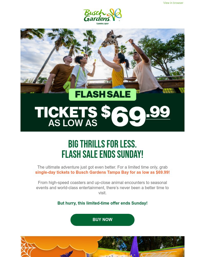 Screenshot of email with subject /media/emails/flash-sale-tickets-as-low-as-6999-5716ac-cropped-a1b213ca.jpg