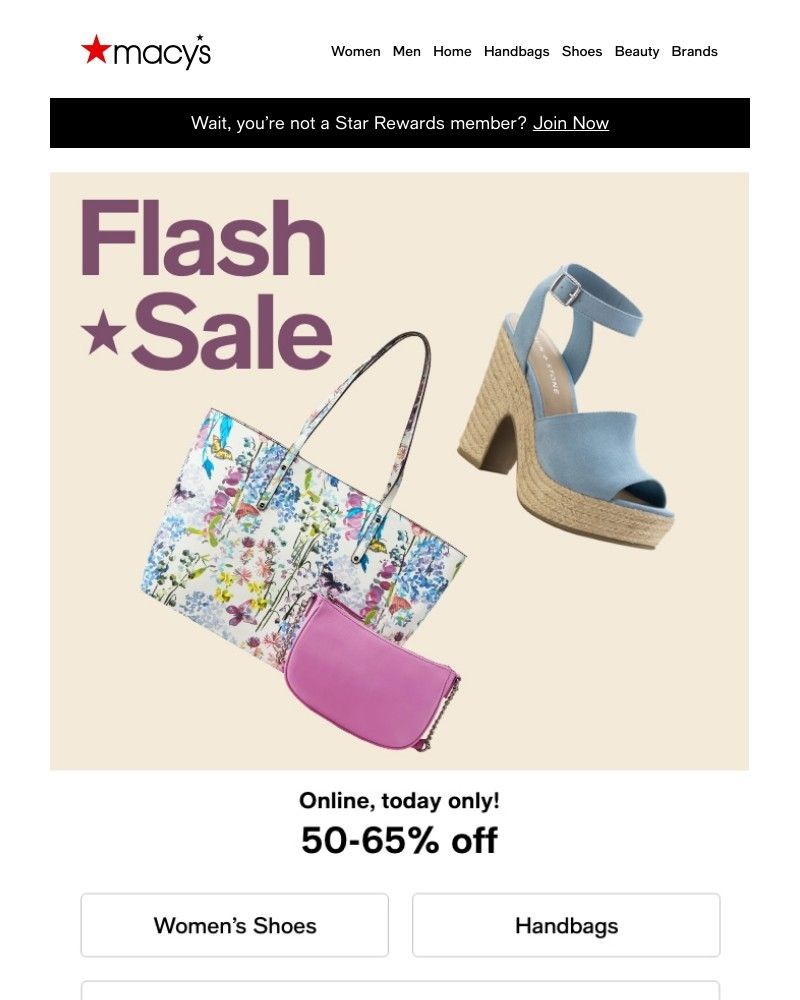 Screenshot of email with subject /media/emails/flash-sale-today-only-50-65-off-shoes-handbags-4e61f9-cropped-31e68ff1.jpg