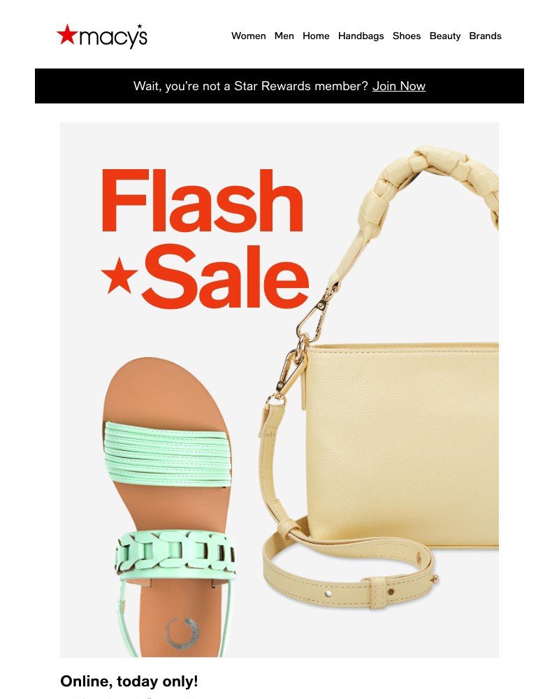 Screenshot of email with subject /media/emails/flash-sale-today-only-50-65-off-shoes-handbags-for-spring-70e1d0-cropped-48ba3a41.jpg
