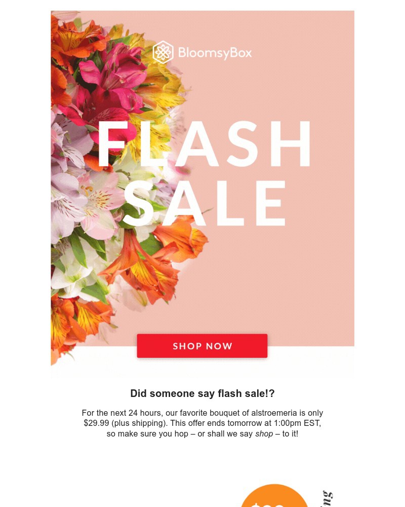 Screenshot of email with subject /media/emails/flash-sale-today-only-5e1b6e-cropped-f7333a10.jpg