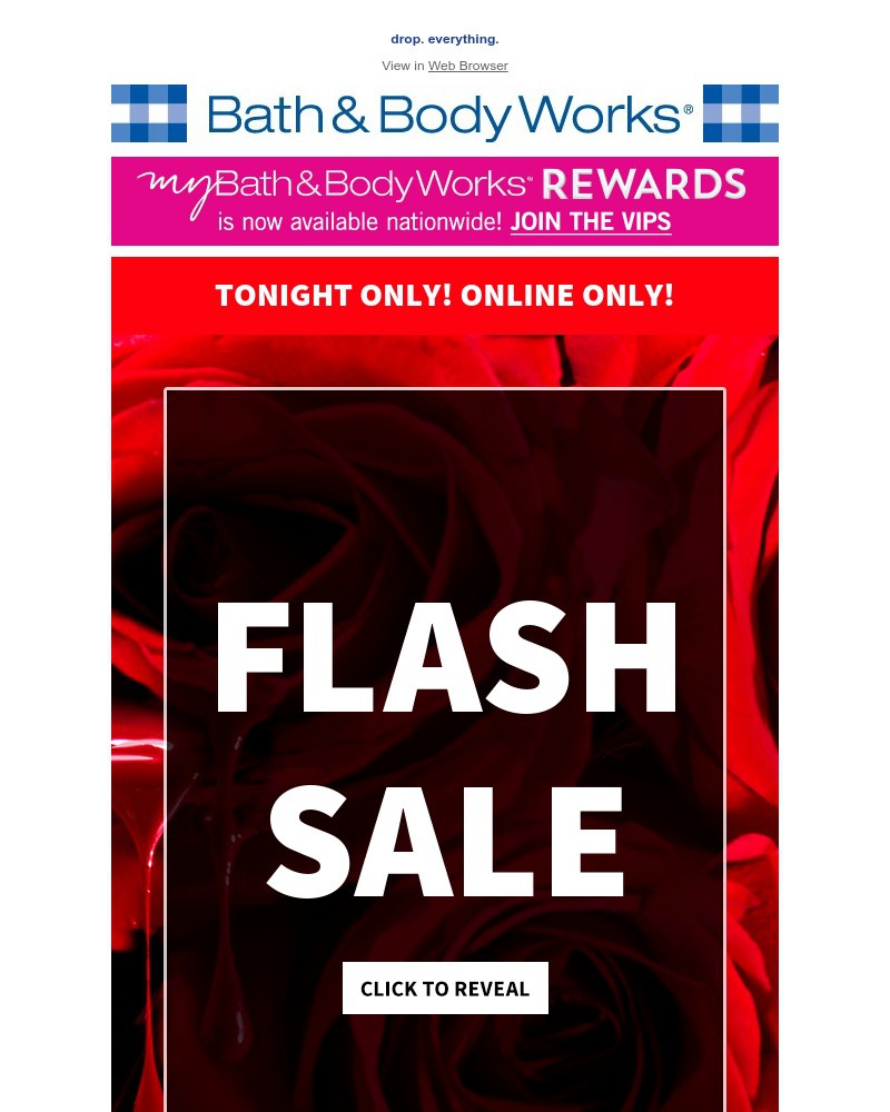 Screenshot of email with subject /media/emails/flash-sale-tonight-only-95aa00-cropped-481c0661.jpg