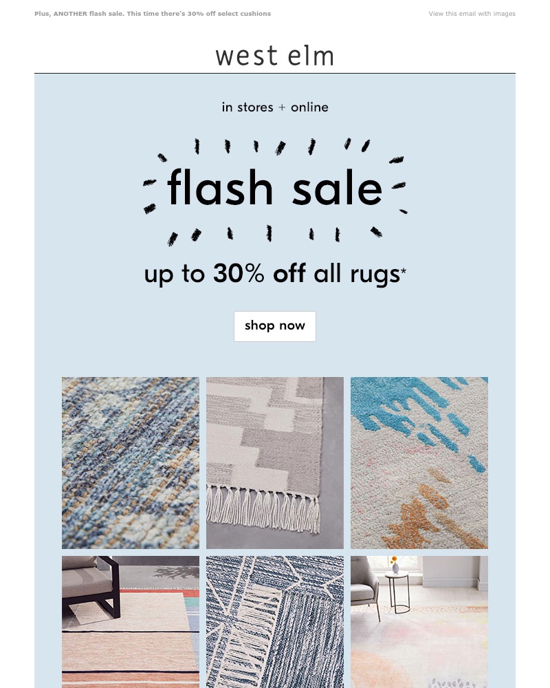 Screenshot of email with subject /media/emails/flash-sale-up-to-30-off-all-rugs-cropped-b6211043.jpg