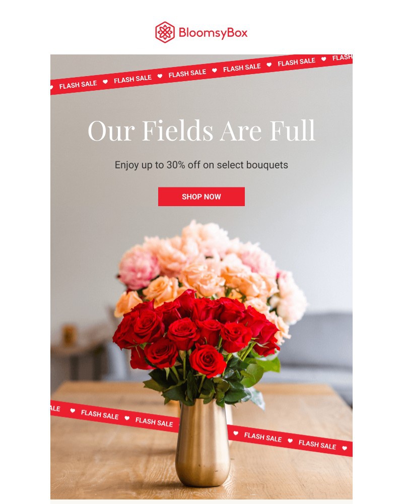 Screenshot of email sent to a Chococurb Newsletter subscriber