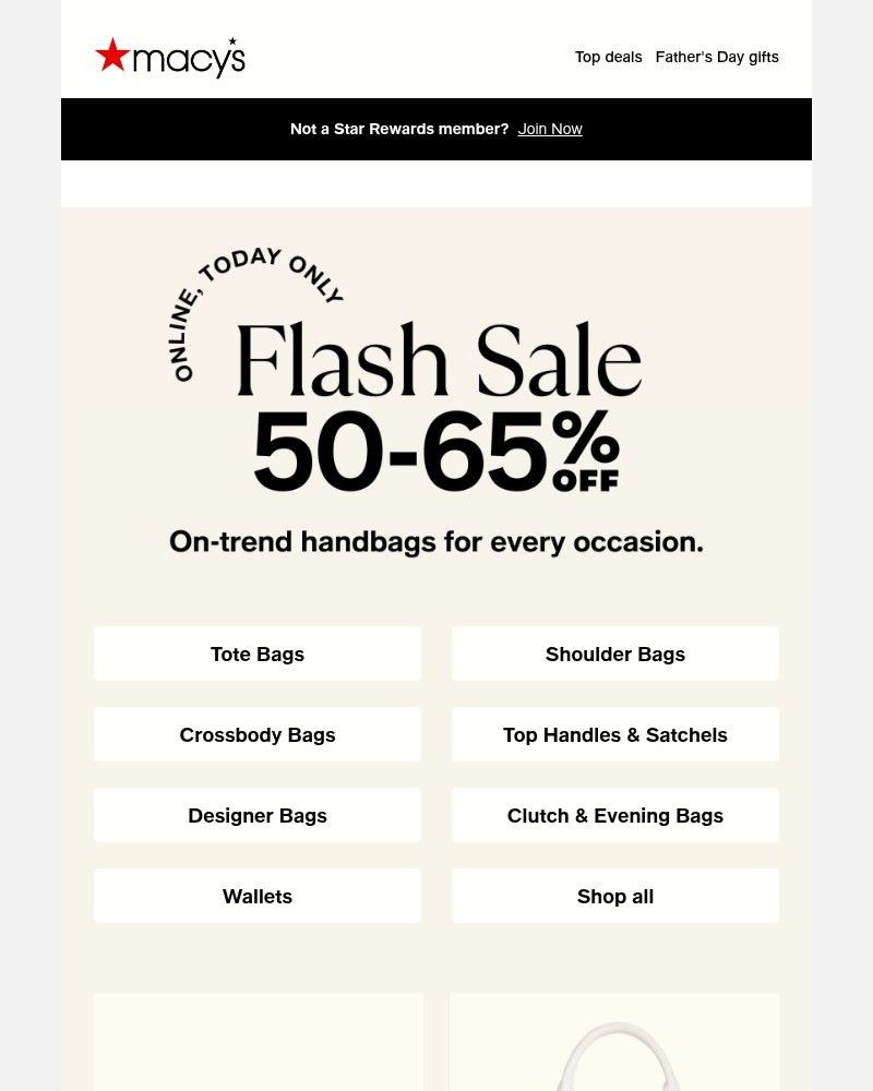 Screenshot of email with subject /media/emails/flash-sale-up-to-65-off-handbags-accessories-80048a-cropped-ae473e19.jpg