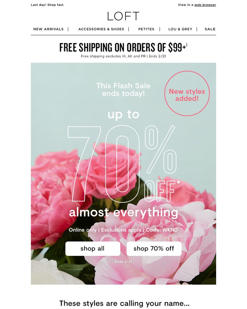 Screenshot of email with subject /media/emails/flash-sale-up-to-70-off-almost-everything-2484e7-cropped-dd67b639.jpg