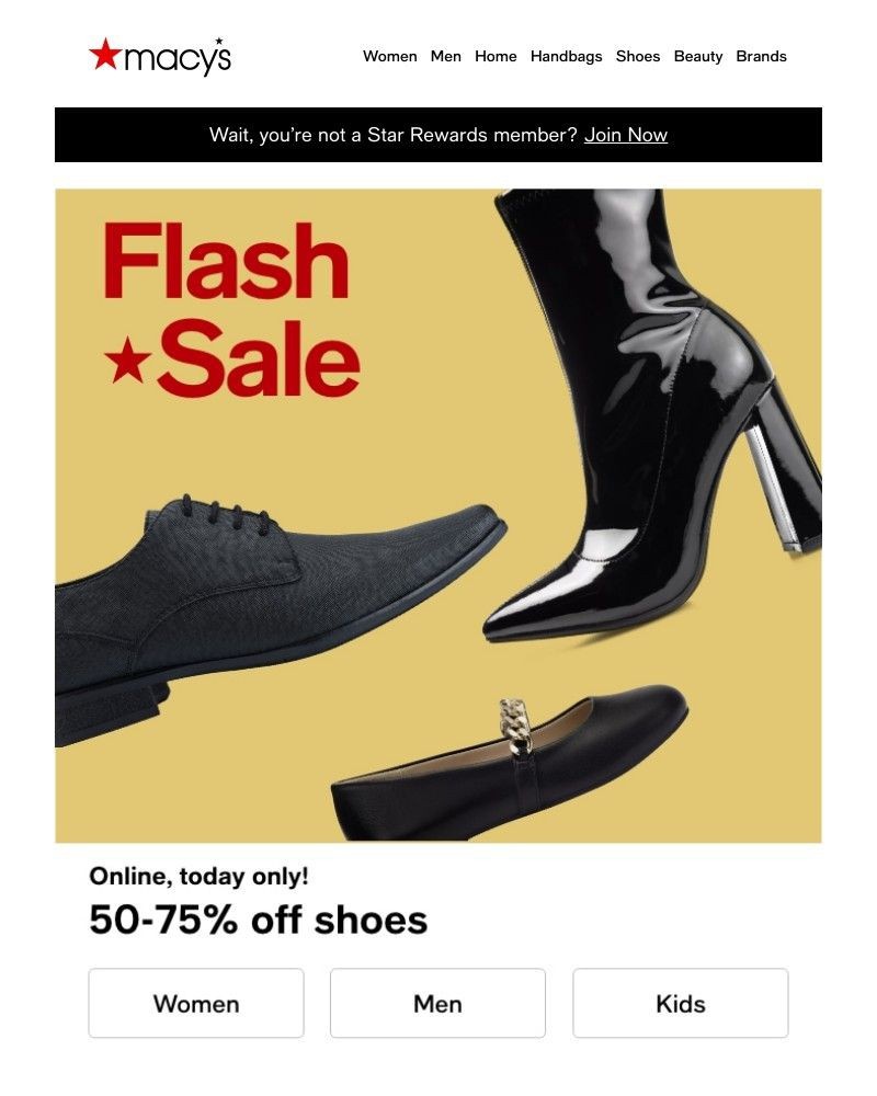 Screenshot of email with subject /media/emails/flash-sale-up-to-75-off-shoeshow-many-pairs-is-too-many-88dc0e-cropped-e0340dc0.jpg
