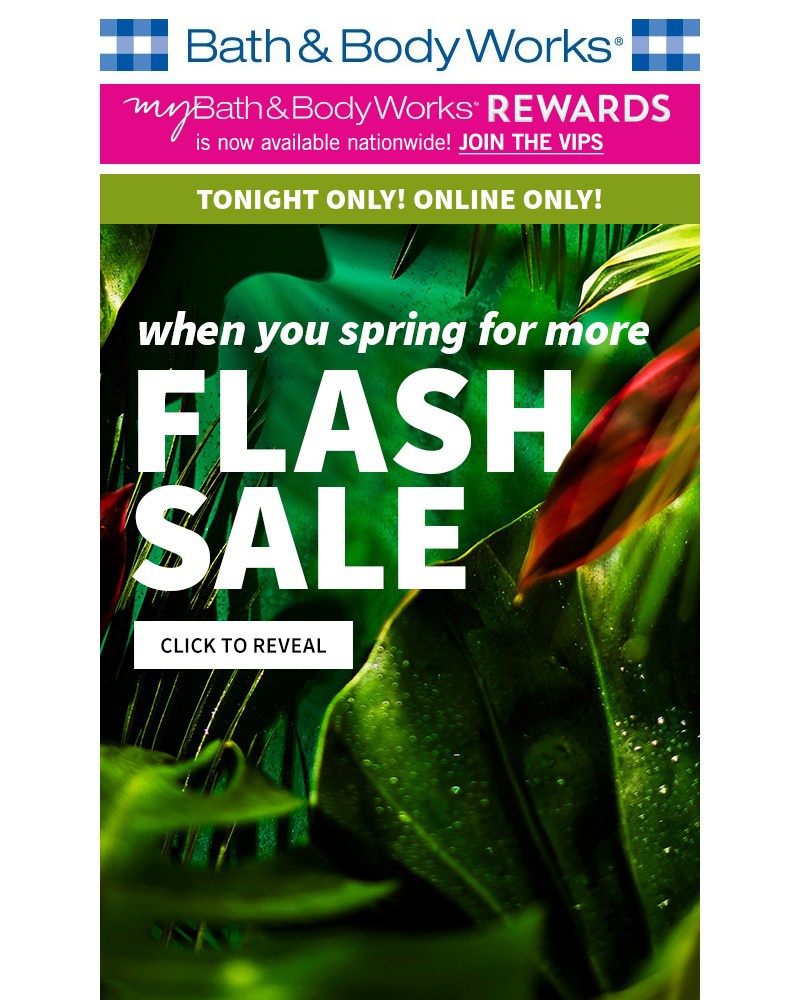 Screenshot of email with subject /media/emails/flash-saletonight-only-ready-set-go-d590a4-cropped-69605f53.jpg