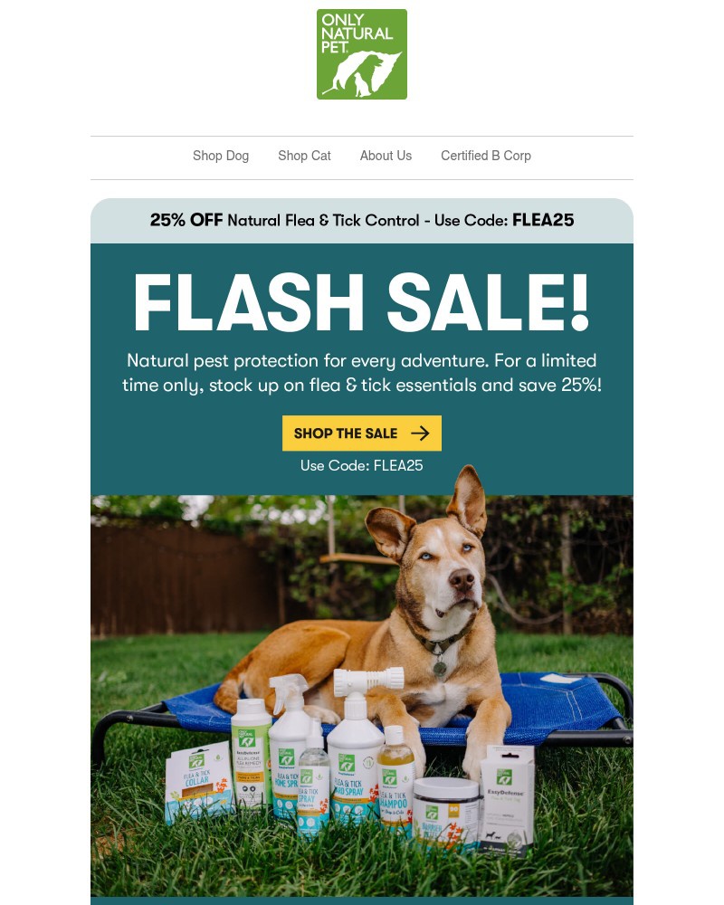 Screenshot of email with subject /media/emails/flea-tick-flash-sale-save-25-9393ef-cropped-b6113707.jpg