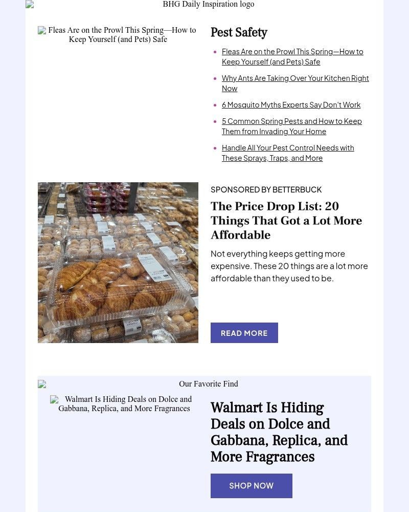 Screenshot of email sent to a Better Homes and Gardens Newsletter subscriber