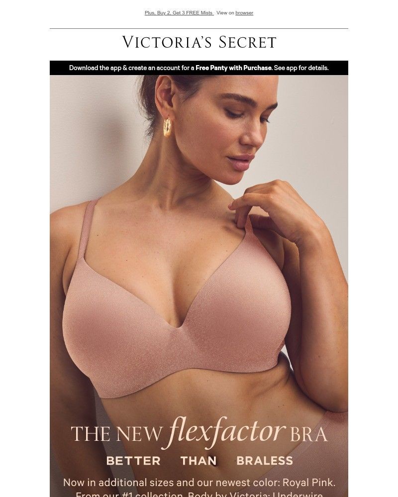 Screenshot of email with subject /media/emails/flexfactornow-in-even-more-sizes-5ad142-cropped-5824ea34.jpg