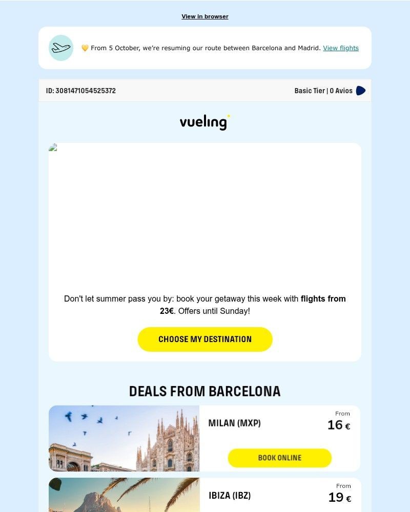 Screenshot of email sent to a Vueling Registered user