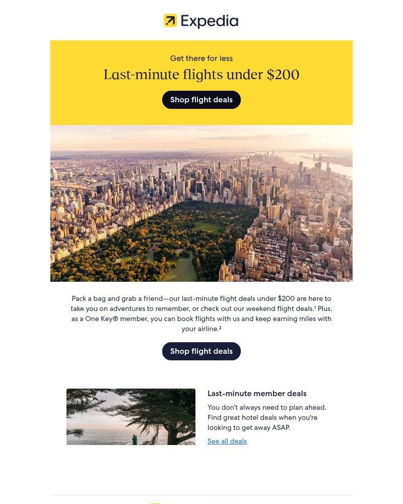 Screenshot of email sent to a Expedia Registered user