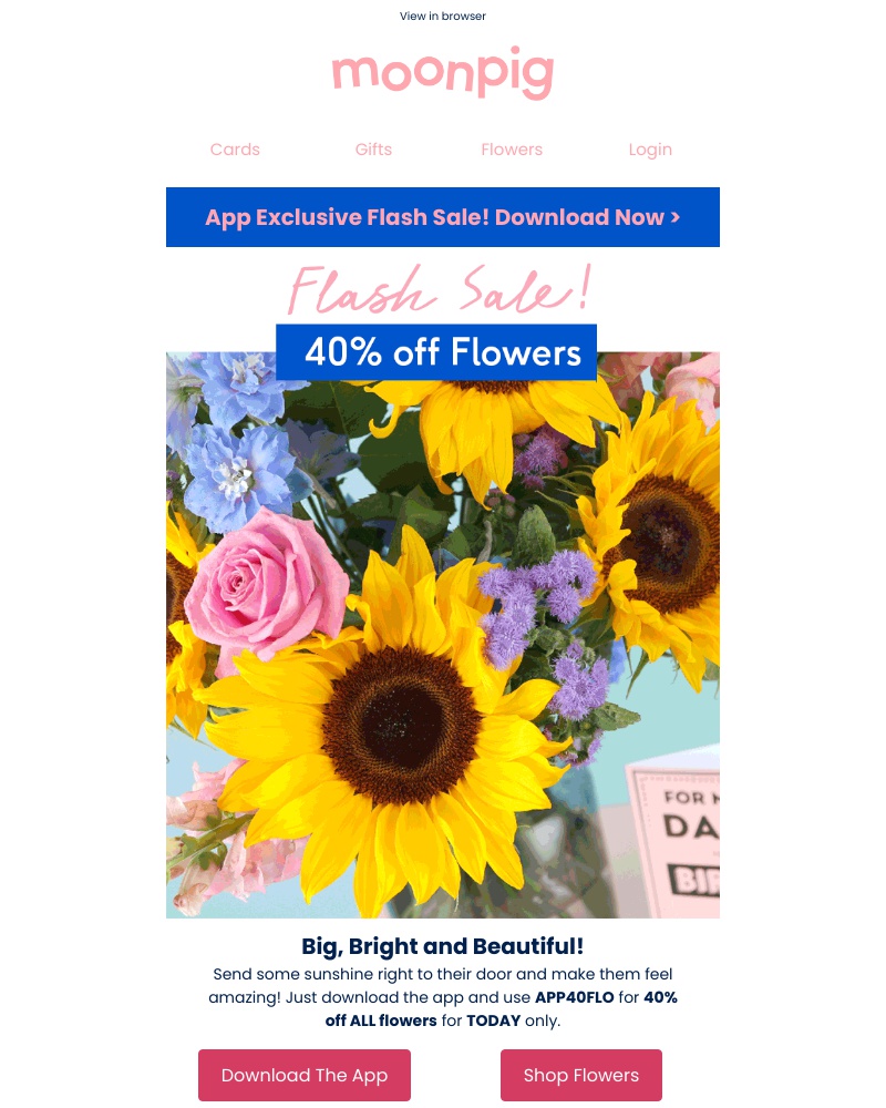 Screenshot of email with subject /media/emails/flower-flash-sale-d8e941-cropped-227440b0.jpg