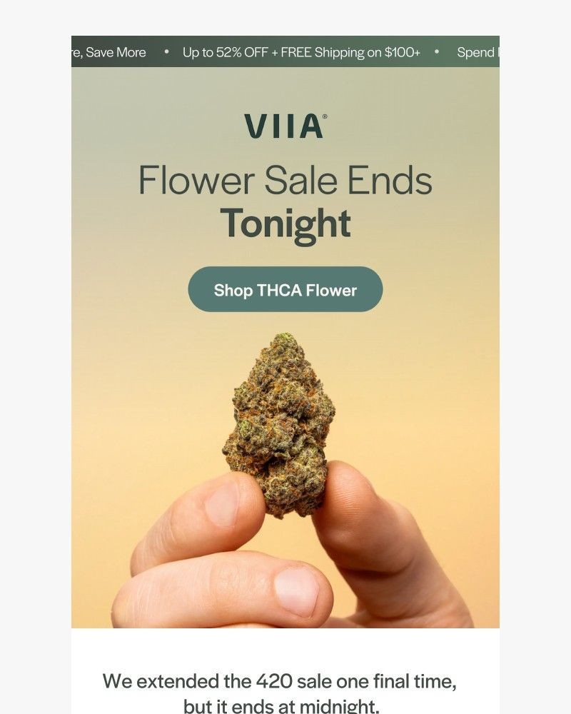 Screenshot of email sent to a VIIA Newsletter subscriber