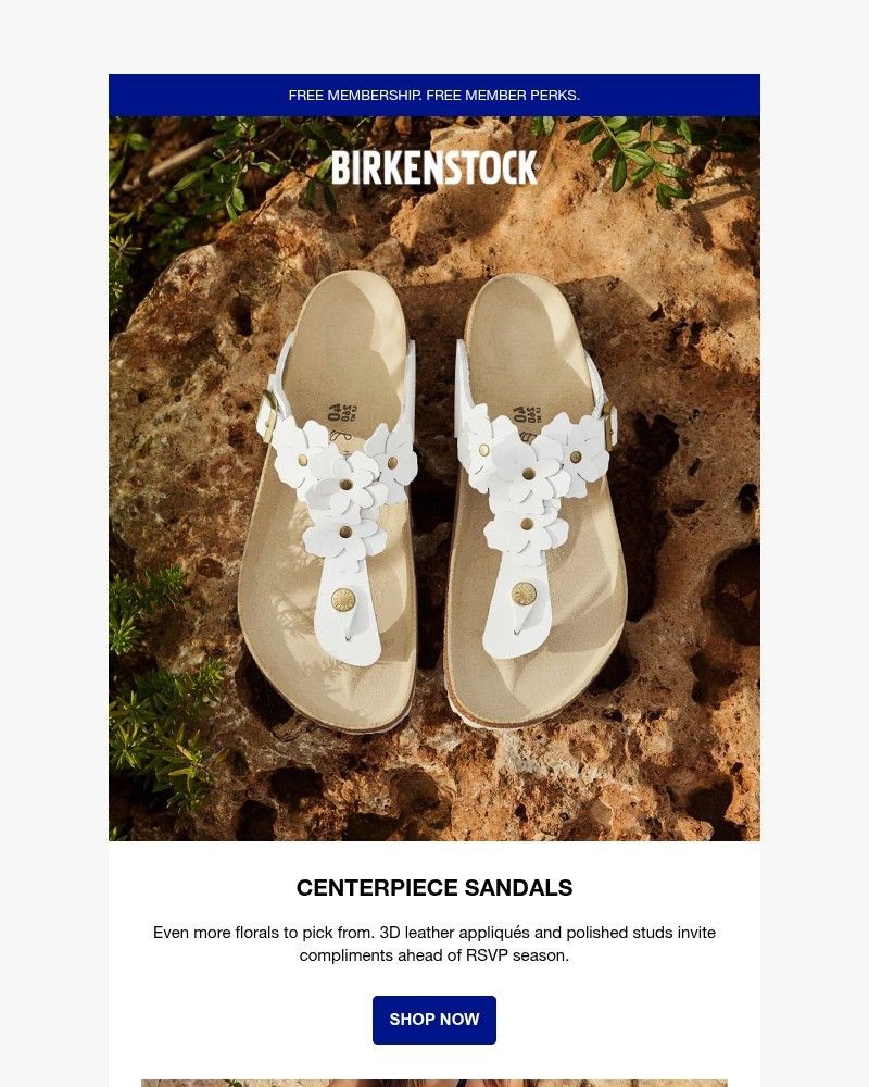 Screenshot of email with subject /media/emails/flower-sandals-make-you-the-centerpiece-d845c2-cropped-907e56db.jpg