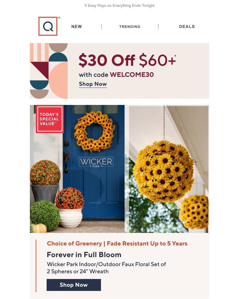 Screenshot of email with subject /media/emails/flowers-fadebut-not-these-get-30-off-07e10d-cropped-14e940b2.jpg