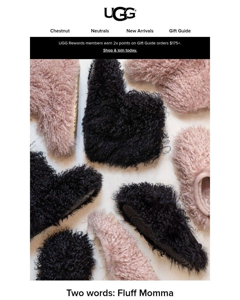 Screenshot of email with subject /media/emails/fluff-momma-is-so-back-dafa67-cropped-fcd4b425.jpg