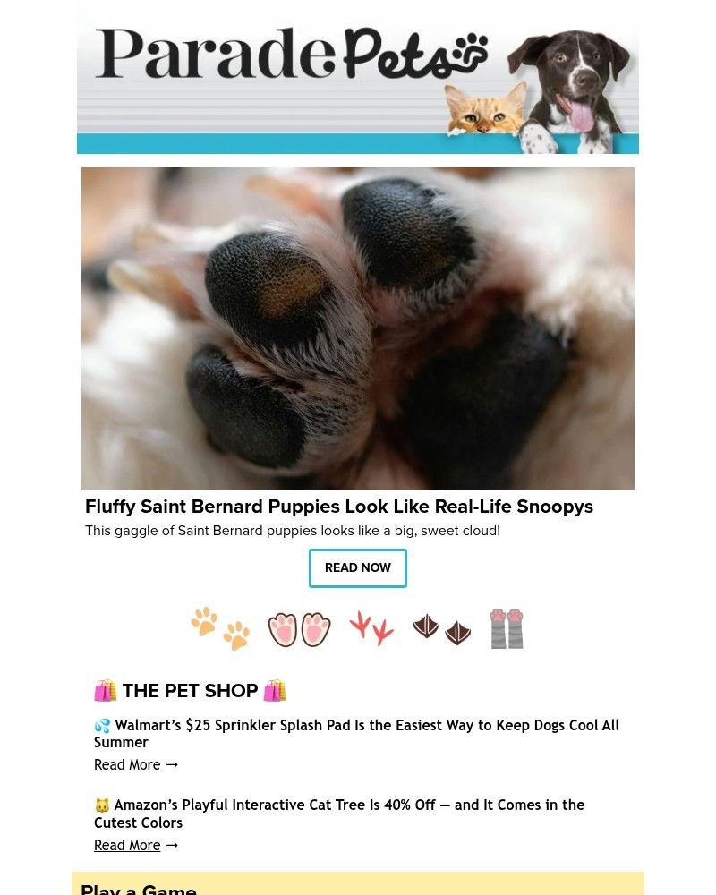 Screenshot of email with subject /media/emails/fluffy-saint-bernard-puppies-look-like-real-life-snoopys-24cca9-cropped-dffc6e7f.jpg