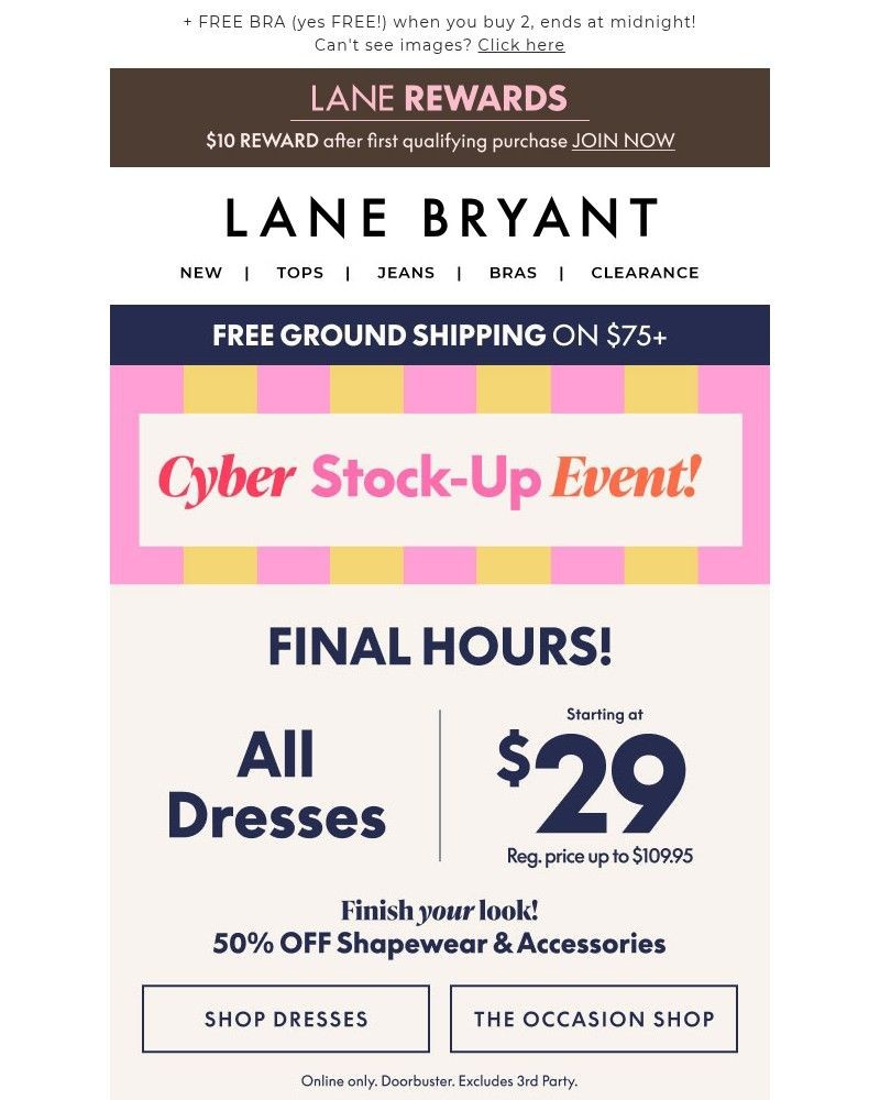 Screenshot of email sent to a Lane Bryant Newsletter subscriber
