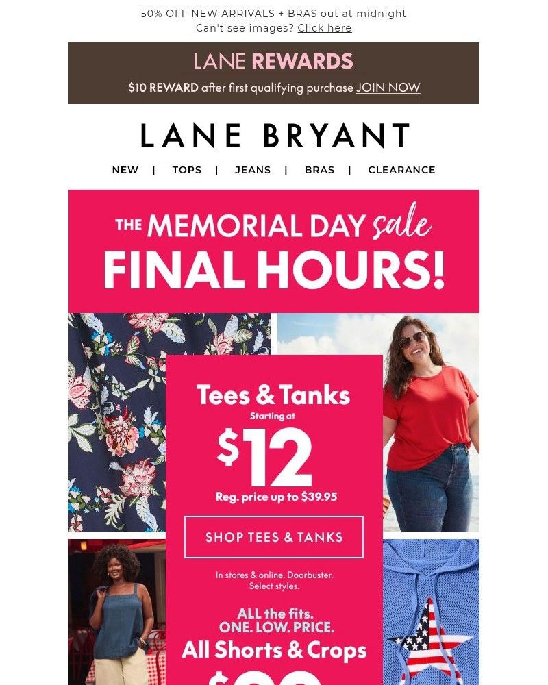 Screenshot of email sent to a Lane Bryant Newsletter subscriber