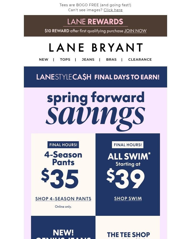 Screenshot of email with subject /media/emails/fnl-hrs-39-swim-35-4-season-pants-17ffe5-cropped-c9d67acf.jpg