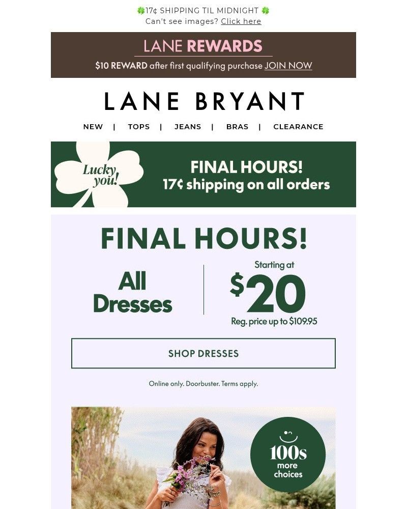 Screenshot of email sent to a Lane Bryant Newsletter subscriber