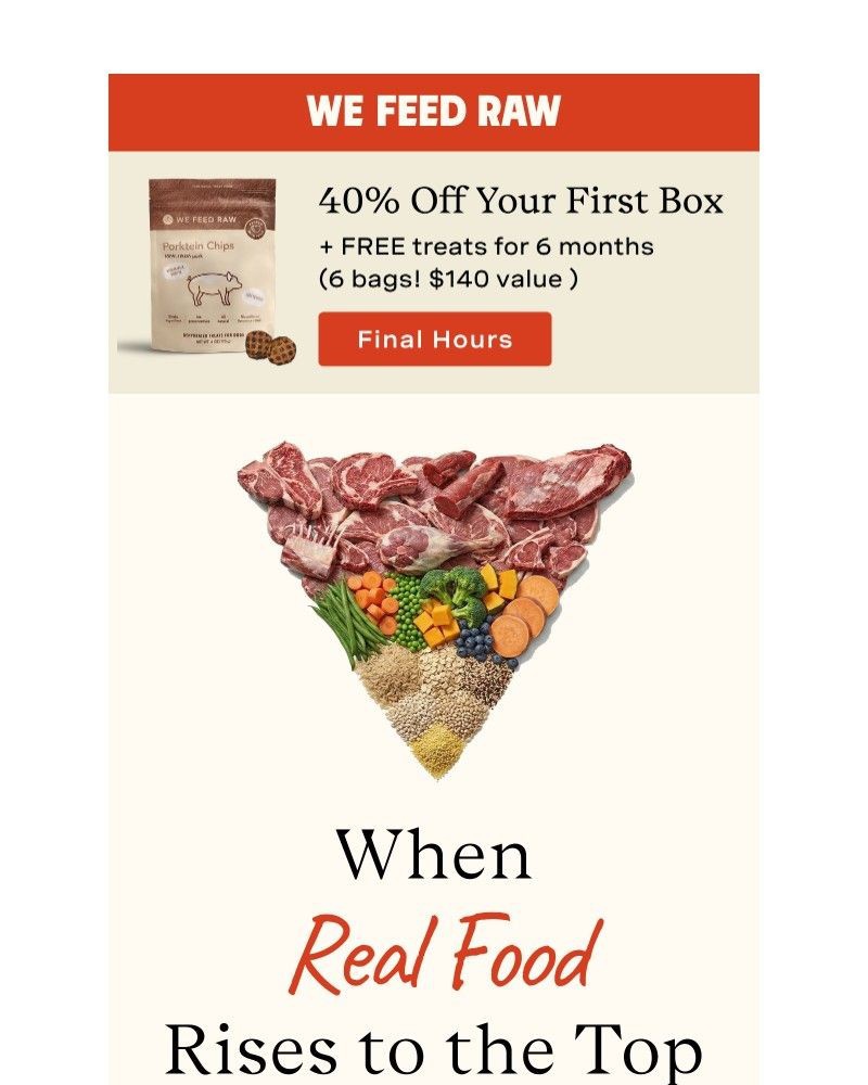 Screenshot of email sent to a We Feed Raw Newsletter subscriber