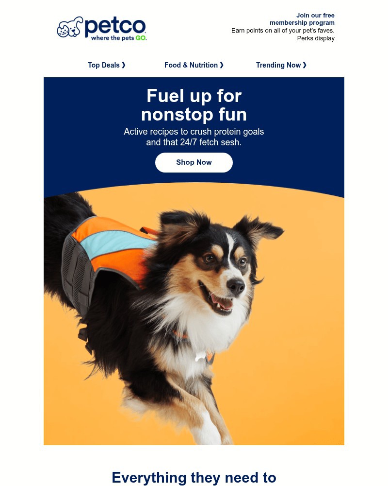Screenshot of email sent to a Petco Newsletter subscriber