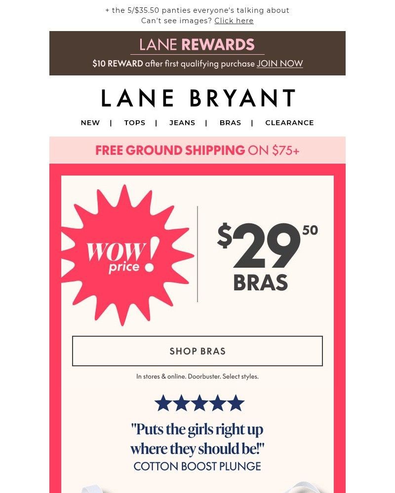 Screenshot of email with subject /media/emails/for-2950-bras-994865-cropped-439d9280.jpg