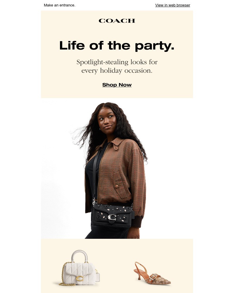 Screenshot of email with subject /media/emails/for-all-your-festive-occasions-8af098-cropped-c2bdfcfe.jpg