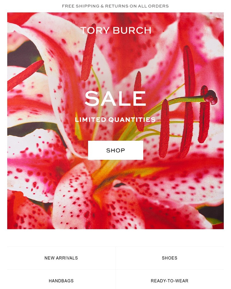 Screenshot of email with subject /media/emails/for-labor-day-shop-the-sale-ae5690-cropped-af72d3af.jpg