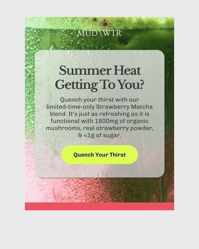 Screenshot of email sent to a MUD/WTR Newsletter subscriber