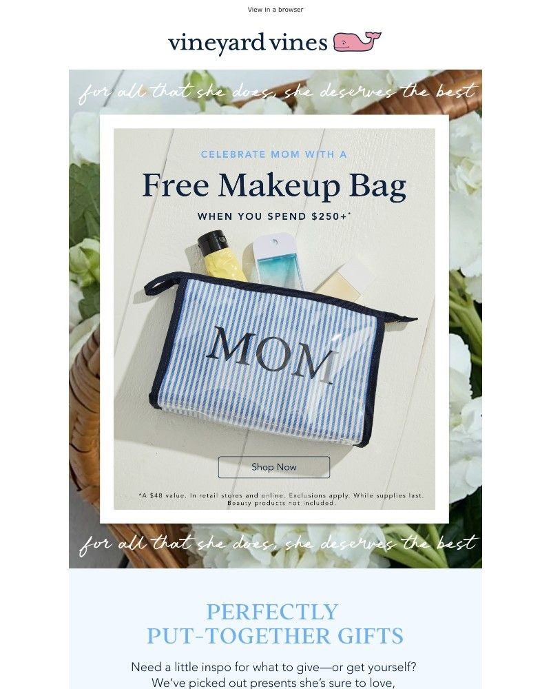 Screenshot of email with subject /media/emails/for-mom-free-makeup-bag-with-250-purchase-661a16-cropped-0938d04f.jpg