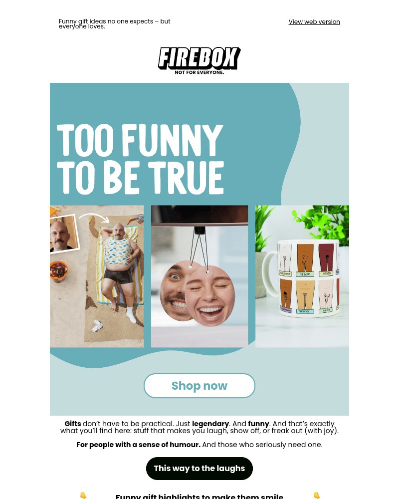 Screenshot of email with subject /media/emails/for-people-with-a-sense-of-humour-ce839a-cropped-6891ed75.jpg