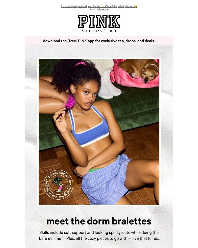 Screenshot of email with subject /media/emails/for-the-bralette-real-bra-girlies-ced0f9-cropped-0d04992d.jpg