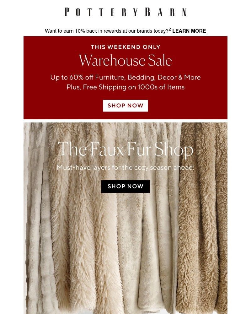 Screenshot of email with subject /media/emails/for-the-faux-fur-lovers-a92fe1-cropped-b0dc6978.jpg