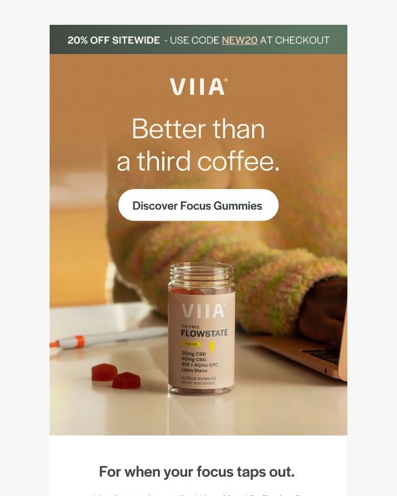 Screenshot of email sent to a VIIA Newsletter subscriber
