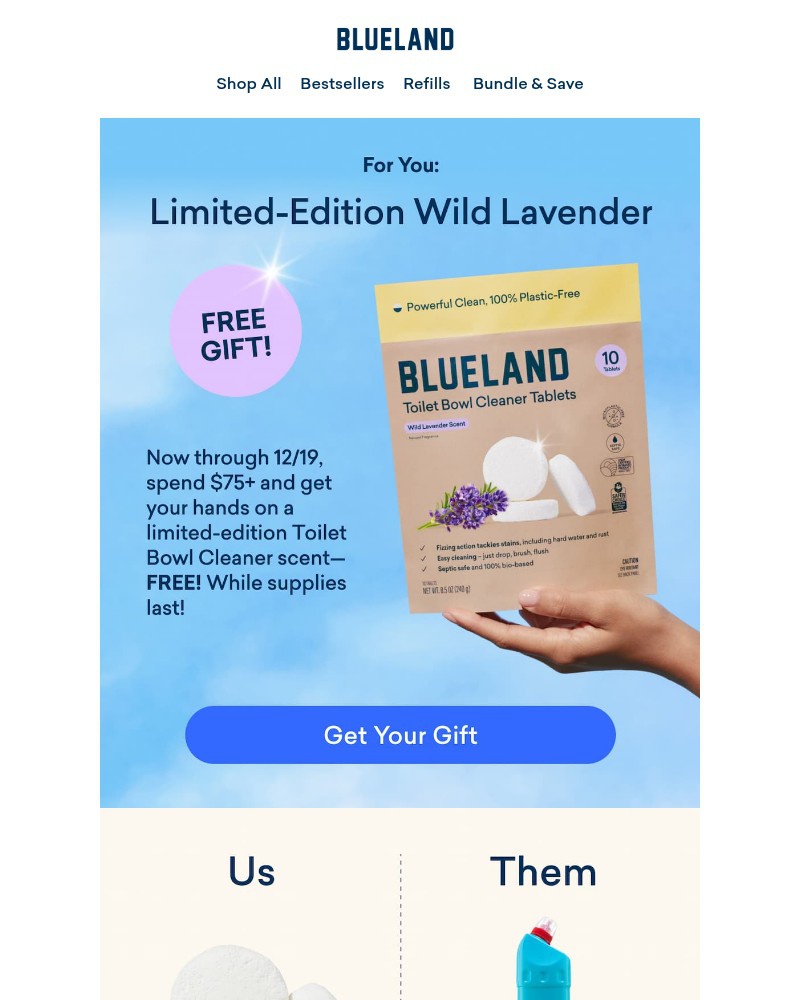 Screenshot of email sent to a Blueland Newsletter subscriber