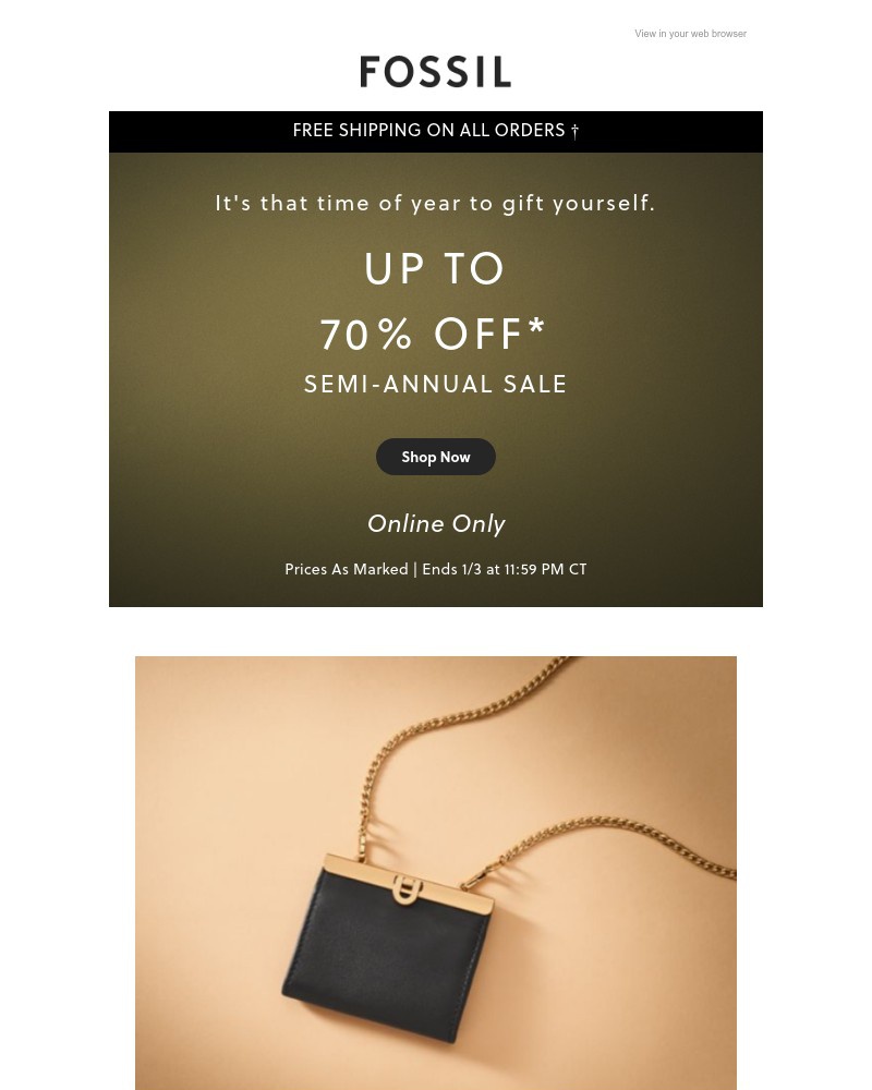 Screenshot of email with subject /media/emails/for-you-the-semi-annual-sale-f39bb0-cropped-6c694674.jpg