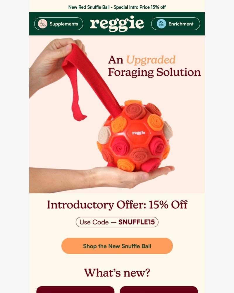 Screenshot of email sent to a reggie Newsletter subscriber