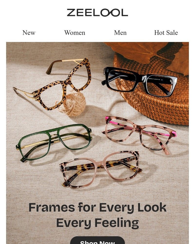 Screenshot of email with subject /media/emails/frames-for-every-look-every-feeling-864dc4-cropped-e7ada304.jpg